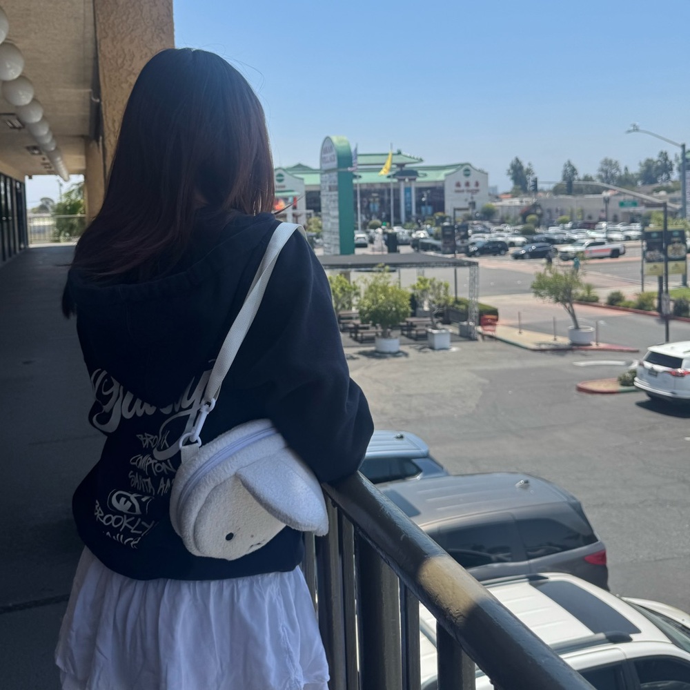 Meet your Posher, ✧˚ · .